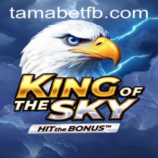 Conquering the Skies: Exploring the World of KingOfTheSky